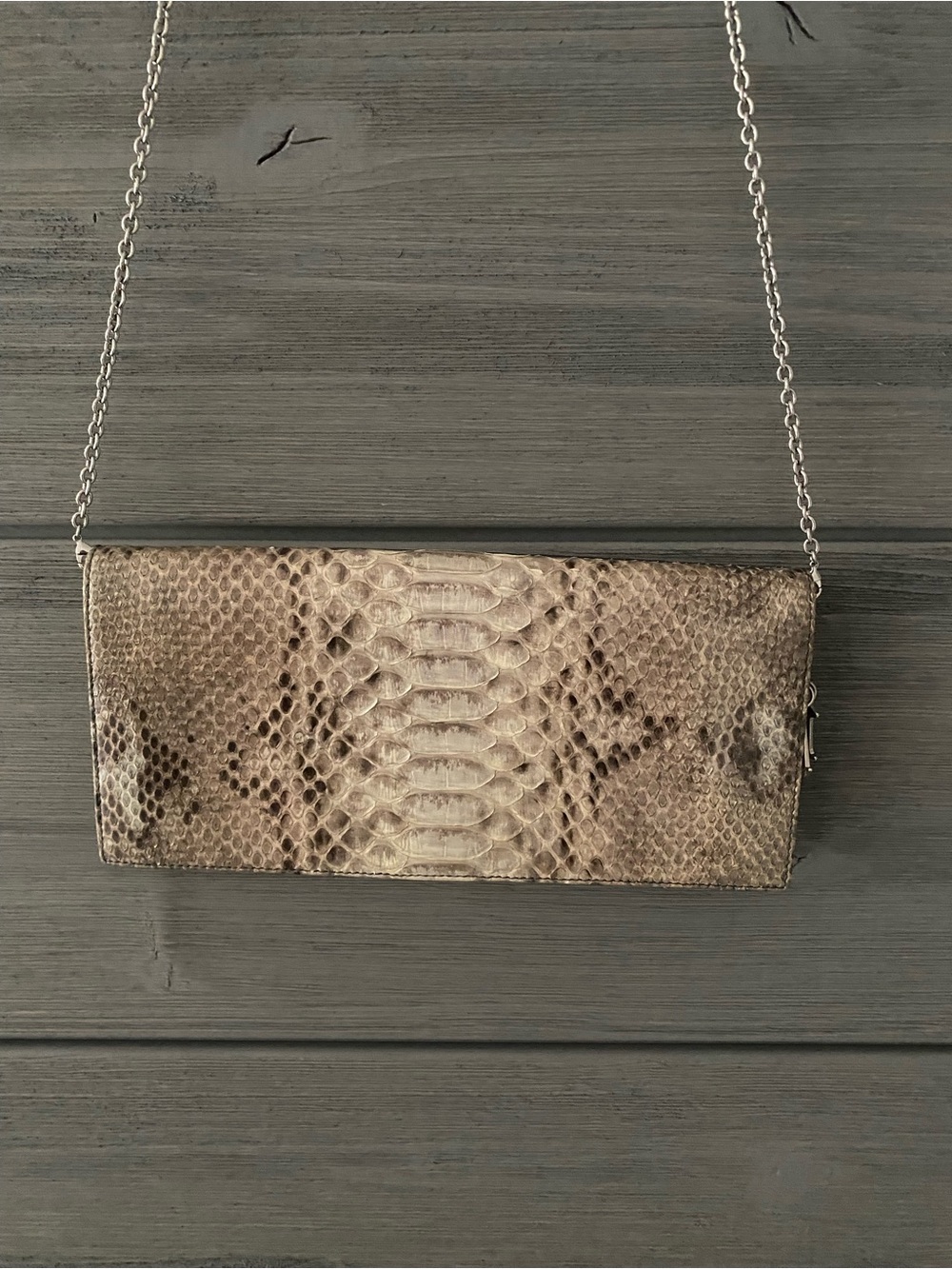 Rare Authentic Christian Dior Python Crossbody Clutch Bag (Silver Chain)